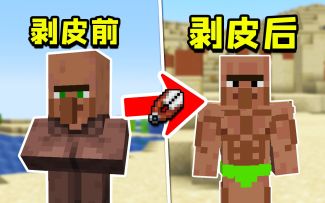 我的世界：这是一条村民看到后会脸红的视频！