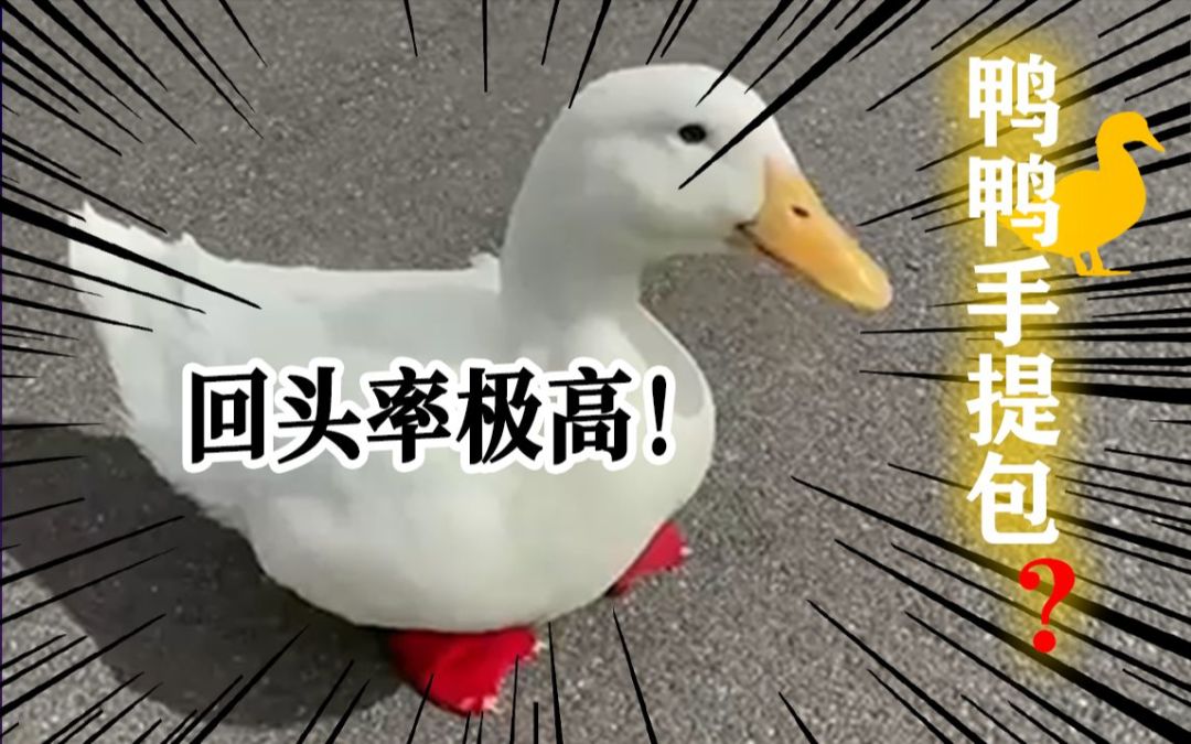video-2786698
