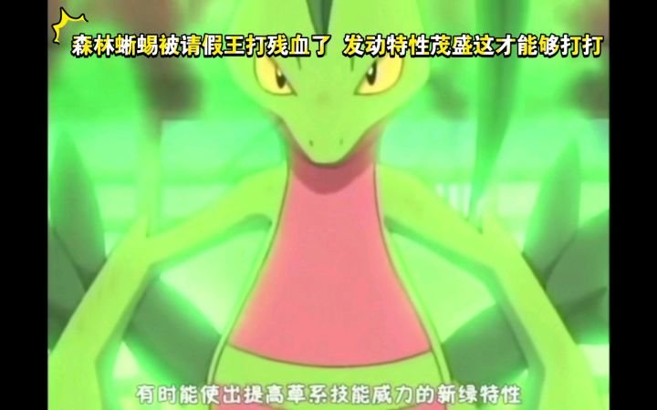 精灵宝可梦 森林蜥蜴被请假王打残血了 发动特性茂盛这才能够打打截图