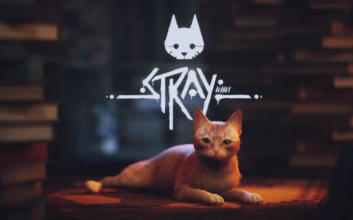 《Stray迷途猫》游戏预告截图