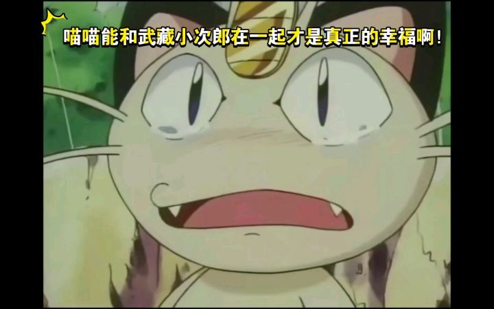 精灵宝可梦 喵喵能和武藏小次郎在一起才是真正的幸福啊截图