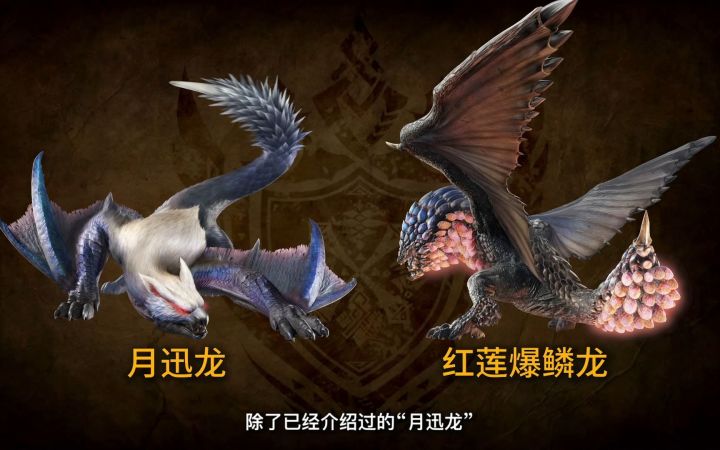 【中字】《怪物猎人崛起曙光》免费更新明日推出 月迅龙、金银火龙登场截图