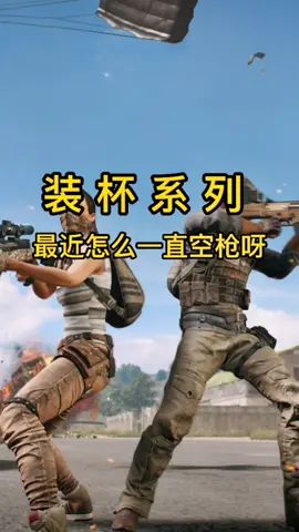 最后这个队友加了我十几次截图