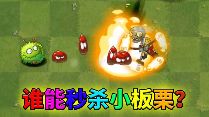 植物大战僵尸：谁能秒杀小板栗？截图