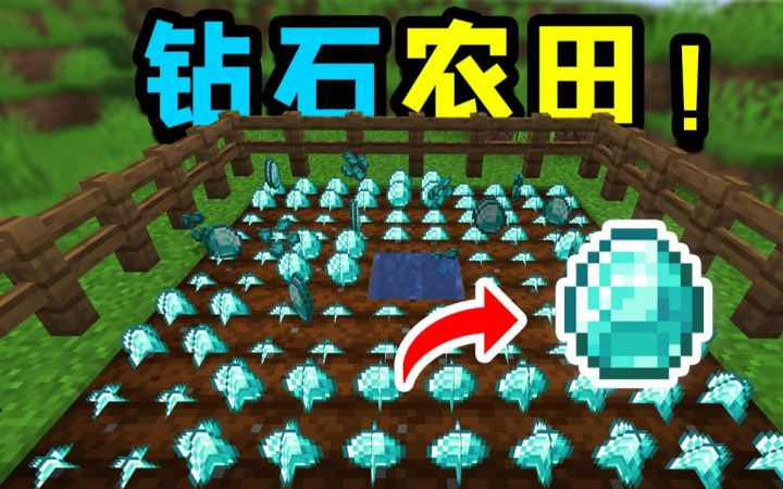 这 才 叫 种 田 !我在MC里种了一片钻石田!截图