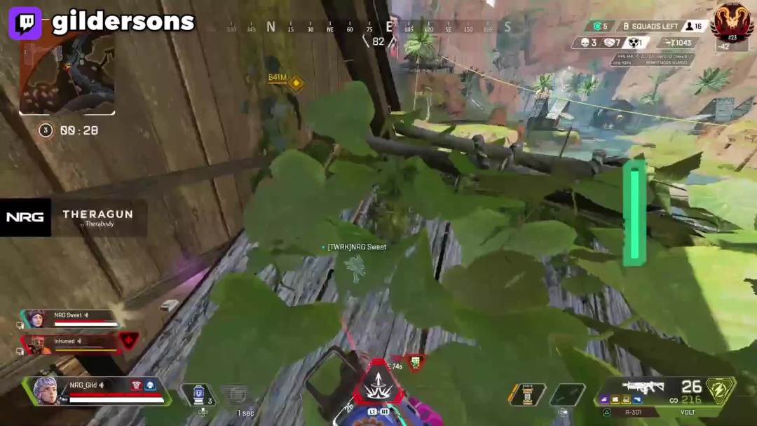 video-2925320