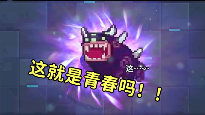 元气骑士:瓦克恩与熊猫的终极对决,这就是青春吗!截图