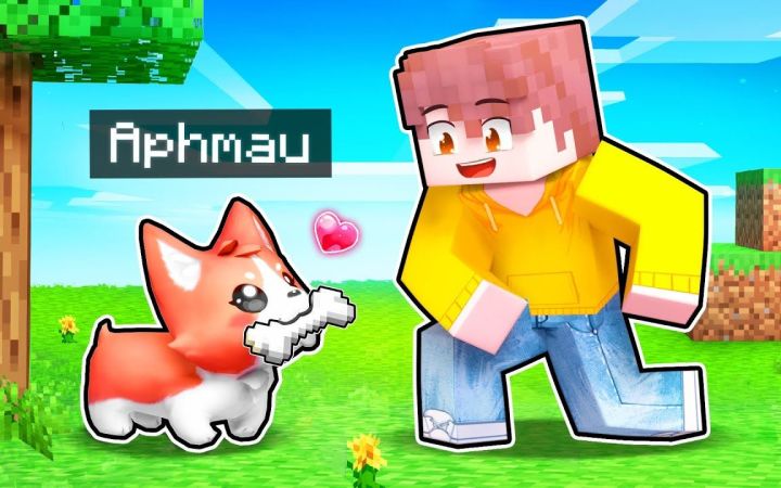 【Aphmau】我的世界|小狗精灵帮助你的朋友们5 Minecraft Puppy PRANKS To Help Your FRIENDS!截图