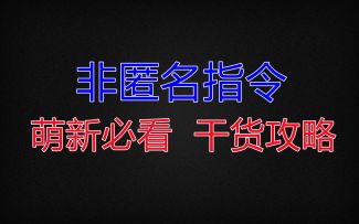 【非匿名指令】萌新必看 干货攻略