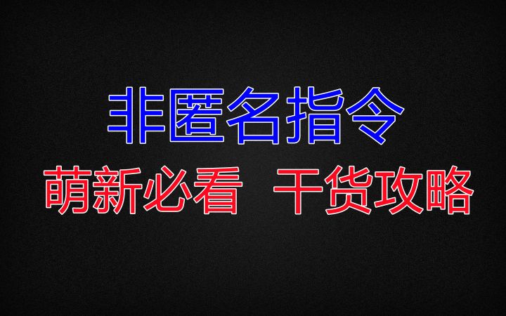 【非匿名指令】萌新必看 干货攻略截图