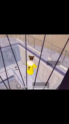 video-2105834