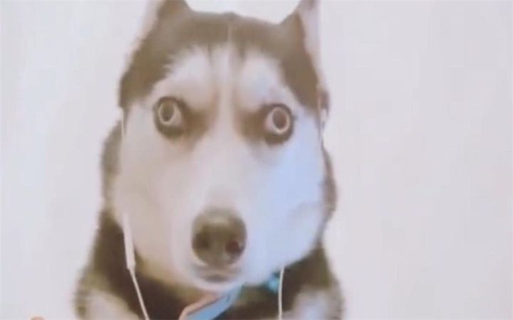 它们那么爱笑,怎么会有“病”呢截图