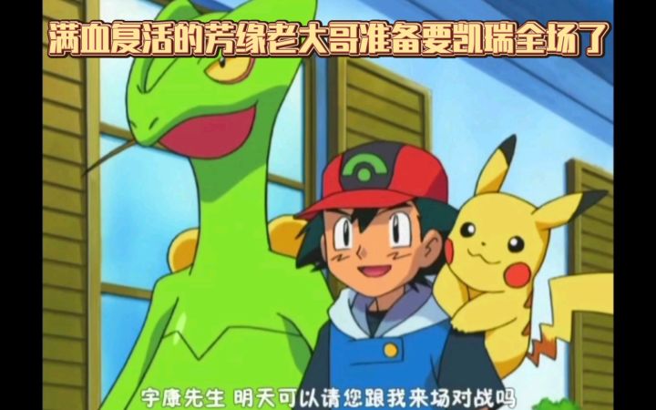 精灵宝可梦 满血复活的芳缘老大哥准备要凯瑞全场了截图