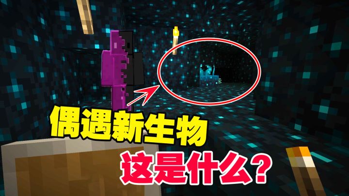我的世界1.19联机2:下矿洞挖钻石,偶遇新生物,这是什么?截图