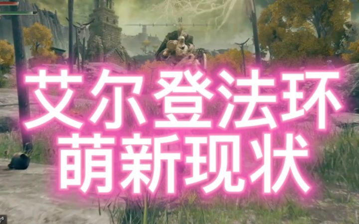 拜托 关心一下艾尔登萌新啊喂!截图