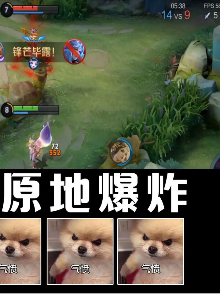 这波蔡文姬的操作,妲己直接原地爆炸截图