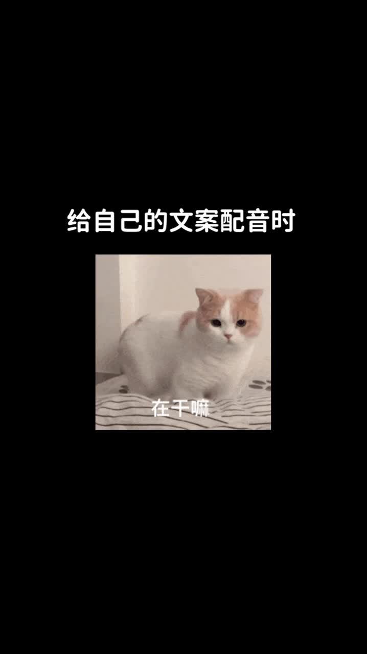 #沙雕配音截图
