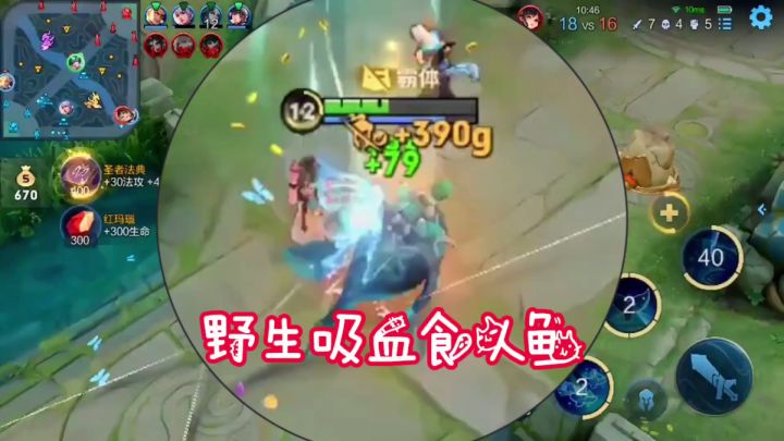 【辅助新玩法】野生吸血食人鱼，伤害十足，庄周上分记！#游戏世界拯救大行动#截图