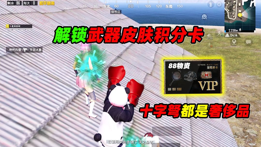 video-2208801