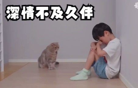 【超级治愈,为啥要养宠物】不哭,我陪着你截图