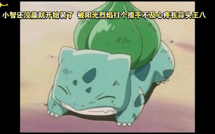 精灵宝可梦 小智还没赢就开始装了 被阳光烈焰打个措手不及心疼我蒜头王八截图