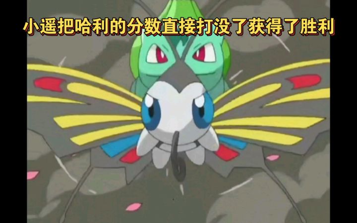 精灵宝可梦 小遥把哈利的分数直接打没了获得了胜利截图