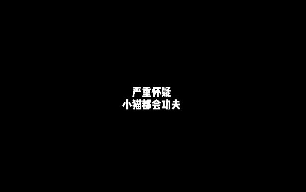 video-1968256