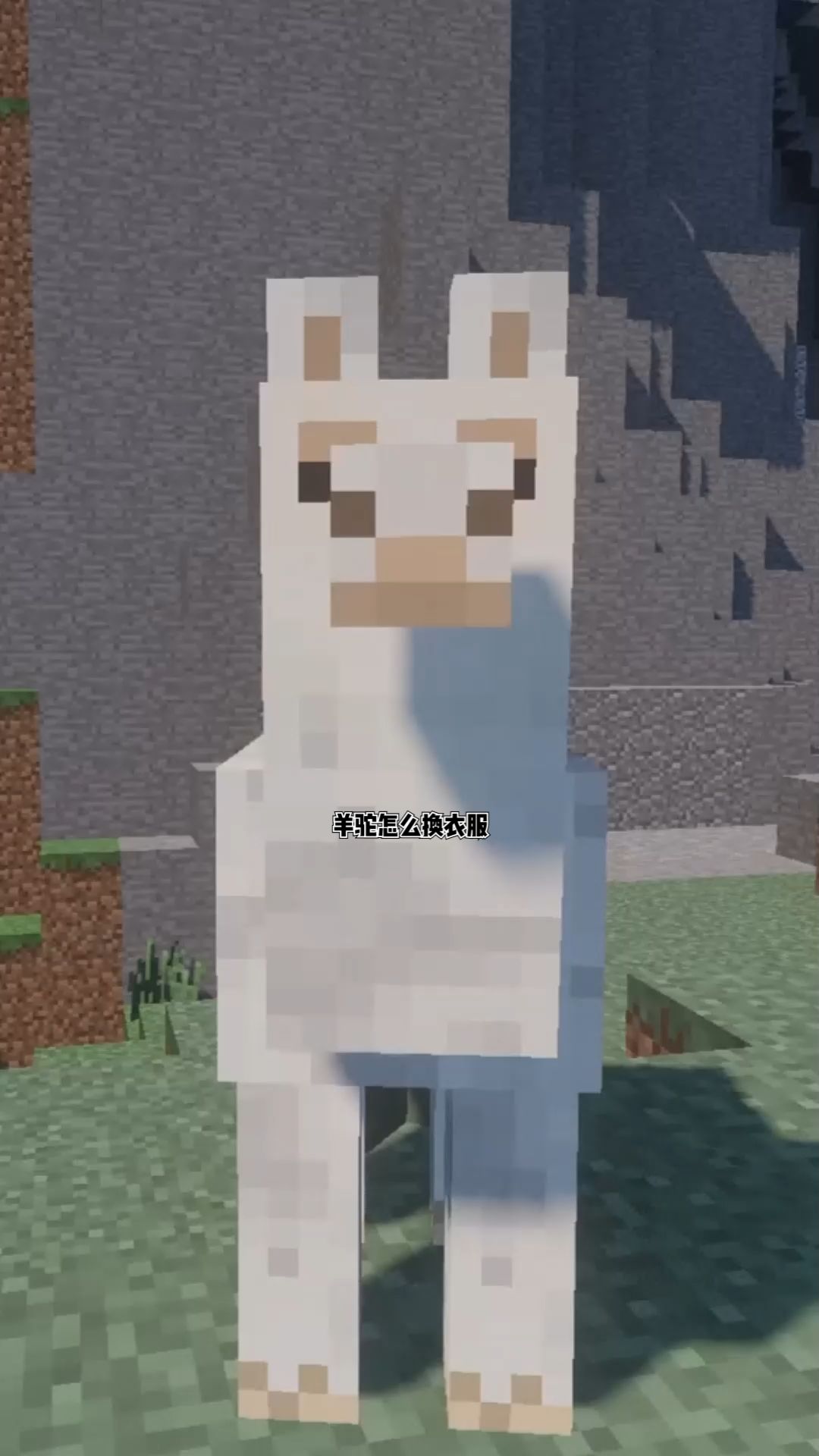 我的世界萌新全部快过来！！羊驼怎么给他换衣服！#我的世界 #我的世界萌新必看截图