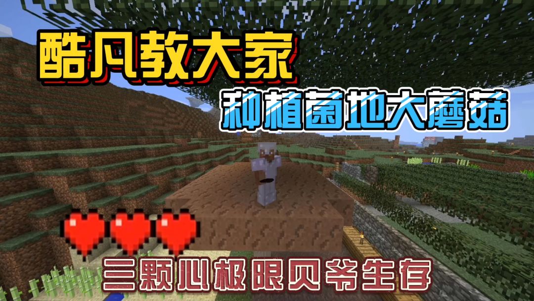 video-2232821