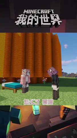 video-2127442