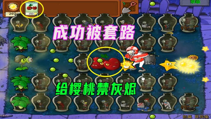 植物大战僵尸：什么叫套路？给樱桃炸弹却禁灰烬截图