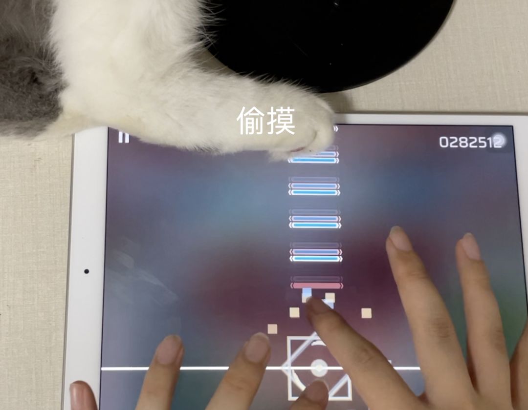 音游人千万不能养猫截图