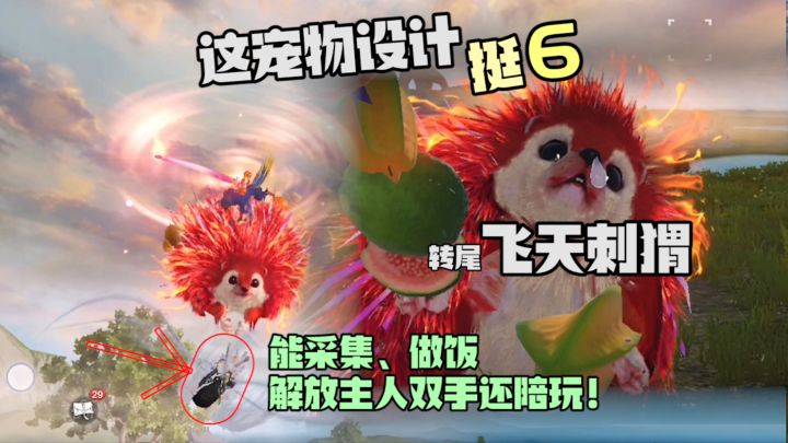 转尾巴的飞天刺猬!能采集能做饭解放主人双手还陪玩!妄想山海居暨截图