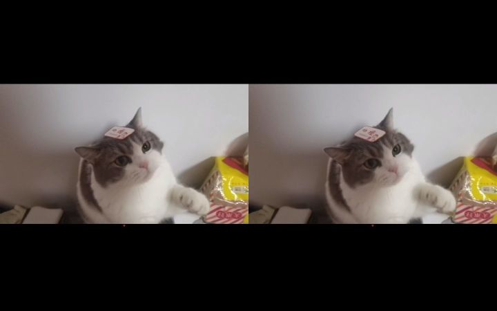 裸眼3D 能看到3D版的团总嘛截图