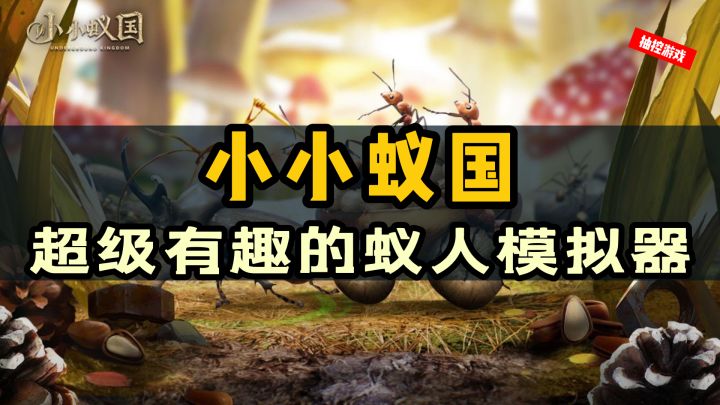 热门&高分!超还原的蚁人模拟器即将上线#小小蚁国 公测#截图