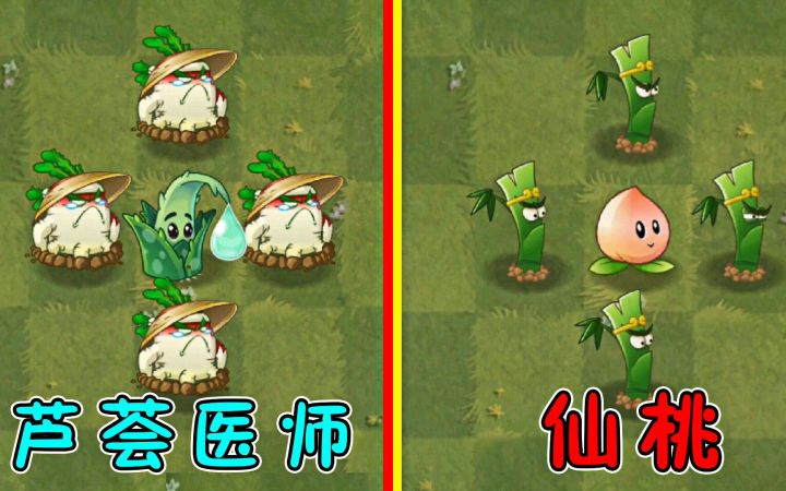 同样是治疗辅助植物，到底有何不同呢？截图