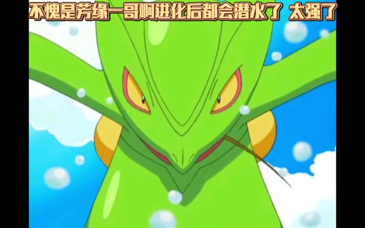 精灵宝可梦 不愧是芳缘一哥啊进化后都会潜水了 太强了截图