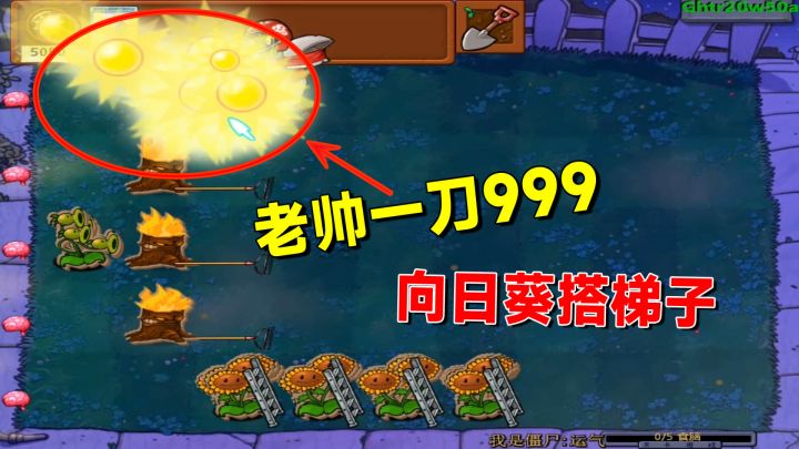 植物大战僵尸:向日葵搭梯子,老帅派遣橄榄球僵尸,一刀999截图