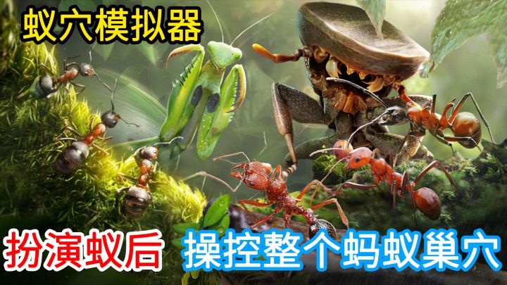 【最具创新力游戏】在地底下的蚁穴中,展开冒险,你准备好率领整个蚁群了吗?集生存、战略、建造为一体的蚂蚁题材模拟经营类游戏#小小蚁国 公测#截图