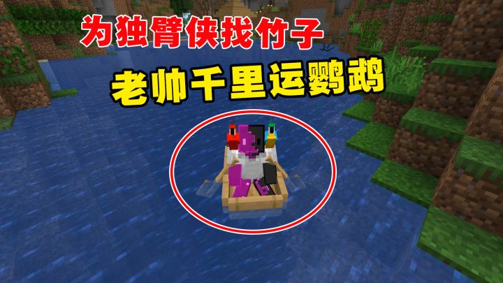 我的世界凋零风暴8:为独臂侠找竹子,发现鹦鹉,老帅千里运鹦鹉截图