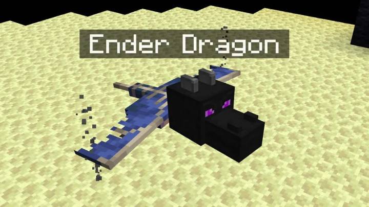 我下载了免费的minecraft…截图