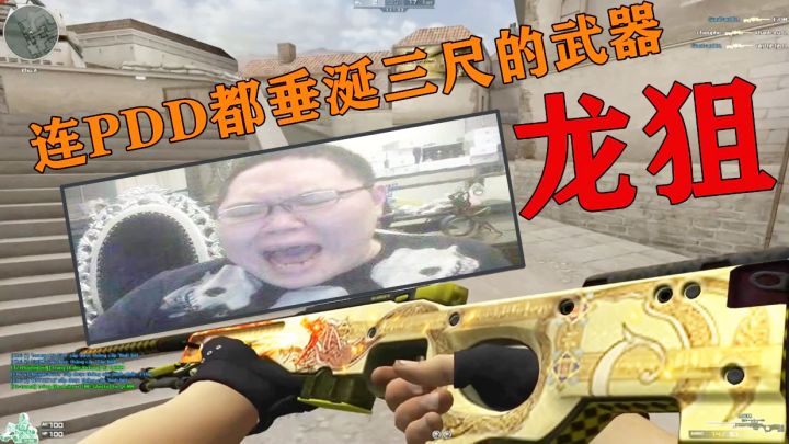 CSGO里最贵，连PDD都垂涎三尺的武器“龙狙”现在就在我手上截图