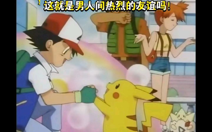 精灵宝可梦 这就是男人间的热烈友谊吗截图