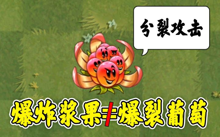 植物大战僵尸2：呆萌可爱的爆炸浆果，浆果分裂攻击！截图
