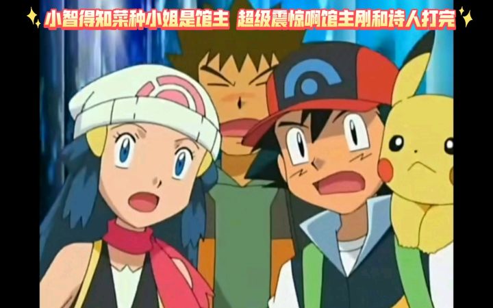 精灵宝可梦 小智得知菜种小姐是馆主 超级震惊啊馆主刚和诗人打完截图