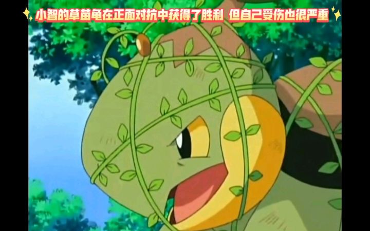 精灵宝可梦 小智的草苗龟在正面对抗中获得了胜利 但自己受伤也很严重截图