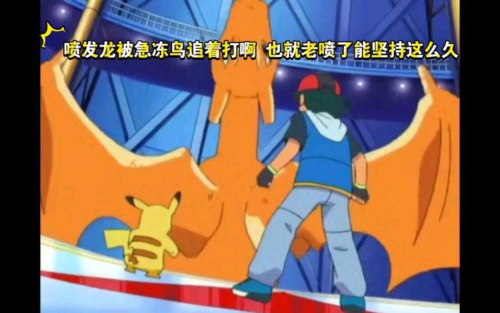 精灵宝可梦 喷发龙被急冻鸟追着打啊 也就老喷了能坚持这么久截图