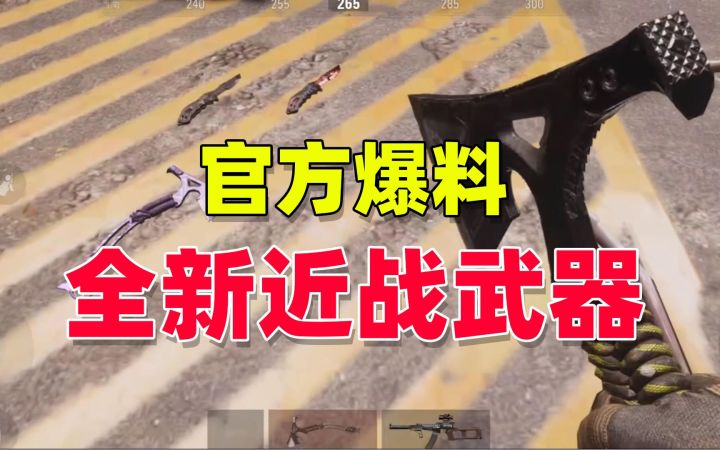 暗区突围：全新近战武器，全新皮肤截图