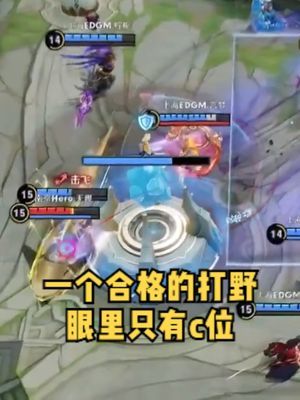 我走了,诶嘿,我又回来了~#王者 #kpl #南京hero无畏截图