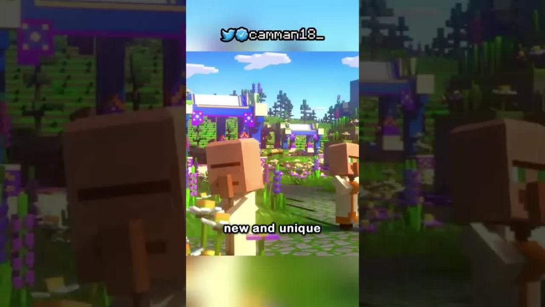 video-2763240